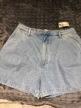 Agolde Light Blue High-Rise Denim Shorts